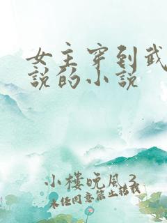 女主穿到武侠小说的小说