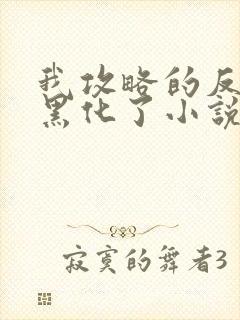 我攻略的反派都黑化了小说