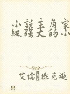 小说主角家族超级强大的小说