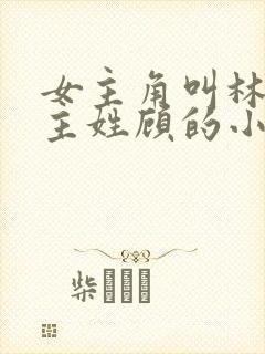 女主角叫林微男主姓顾的小说