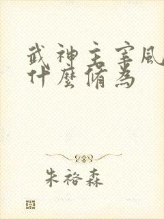 武神主宰风少羽什么修为