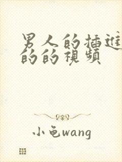 男人的插进女人的的视频