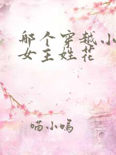 哪个穿越小说的女主姓花