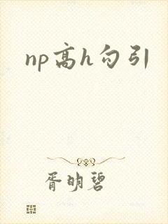np高h勾引