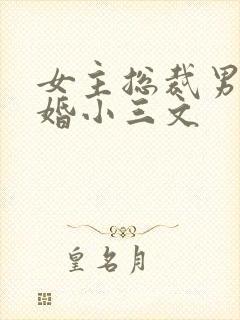 女主总裁男主已婚小三文