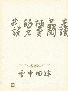 我的极品老婆小说免费阅读全文