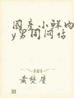 国产小鲜肉gay男同网站