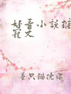 好看小说推荐甜宠文