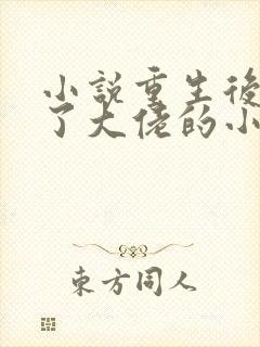 小说重生后我成了大佬的小心肝阅读