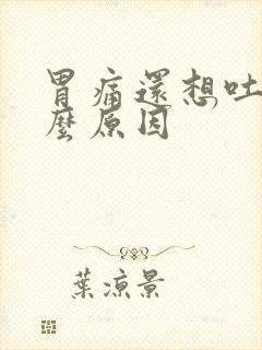 胃痛还想吐是什么原因