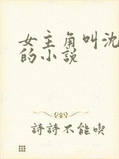 女主角叫沈清梦的小说