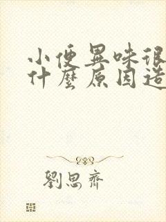 小便异味很大是什么原因造成的