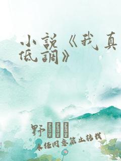 小说《我真的很低调》