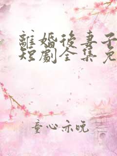 离婚后妻子后悔短剧全集免费观看