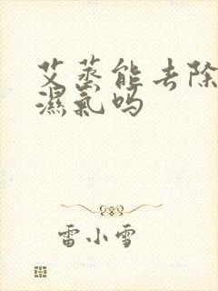 艾蒸能去除体内湿气吗