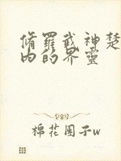 修罗武神楚枫体内的界灵