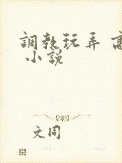 调教玩弄 高潮 小说