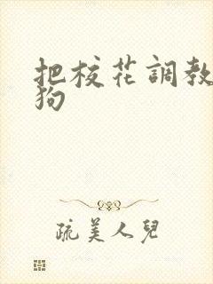 把校花调教成母狗