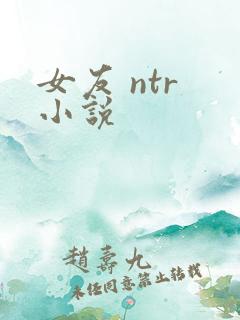 女友 ntr 小说