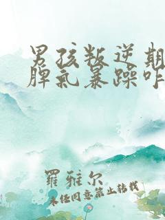 男孩叛逆期严重脾气暴躁咋办