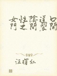 女性阴道口和肛门之间裂开刺痛