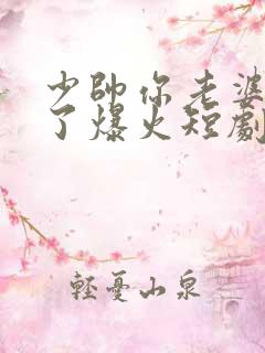少帅你老婆又跑了爆火短剧
