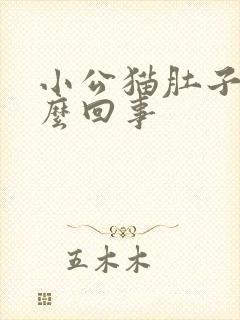 小公猫肚子大怎么回事