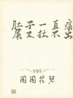 肚子一直痛想拉屎又拉不出来什么原因