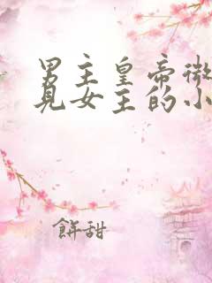 男主皇帝微服遇见女主的小说