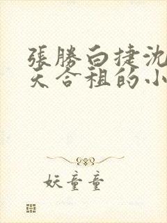 张胜白捷沈莹林天合租的小说