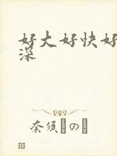 好大好快好爽好深