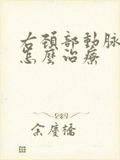 右颈部动脉斑块怎么治疗