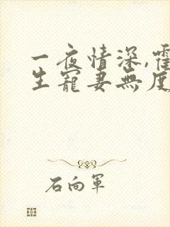 一夜情深,霍先生宠妻无度小说全部章节