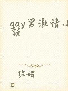 gay男激情小说