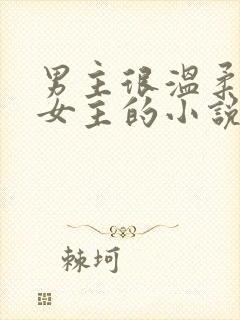 男主很温柔很爱女主的小说