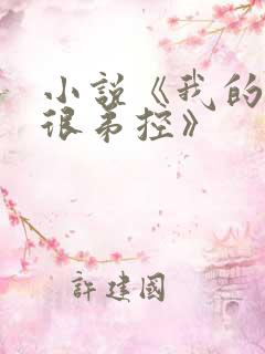 小说《我的姐姐很弟控》