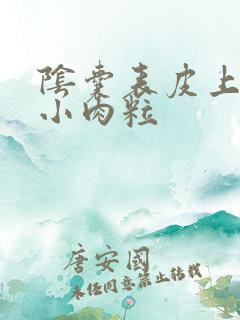 阴囊表皮上有个小肉粒