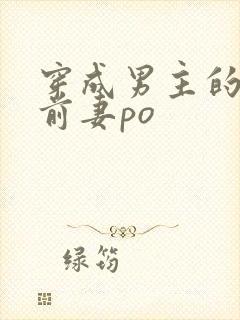 穿成男主的炮灰前妻po