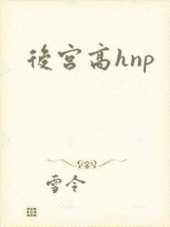 后宫高hnp