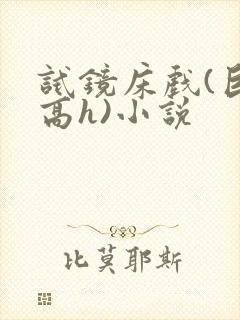 试镜床戏(巨肉高h)小说