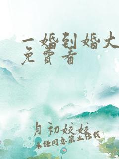 一婚到婚大结局免费看