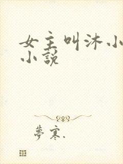 女主叫沐小小的小说