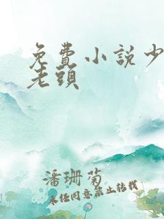 免费小说少妇与老头
