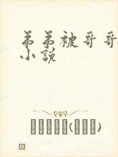 弟弟被哥哥调教小说