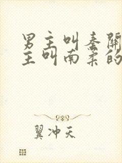 男主叫秦关,女主叫南柔的小说