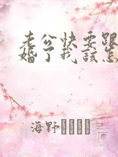 老公快要跟我离婚了我该怎么办