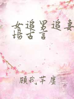 女追男追妻火葬场古言