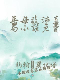 岳母苏沛真大结局小说免费阅读全文无弹窗