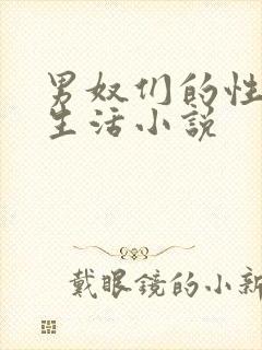 男奴们的性调教生活小说