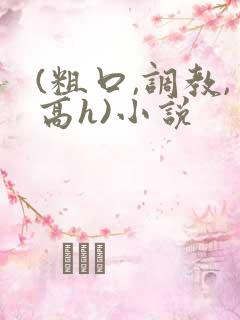 (粗口,调教,高h)小说